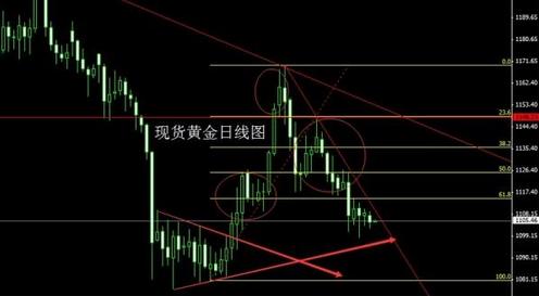 黃金眼鏡蛇雷龍混養(黃金眼鏡蛇雷龍混養羅漢魚)