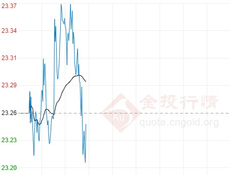黃金梨苗(黃金梨苗哪里正規)