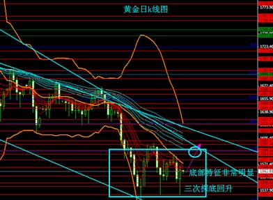 黃金島手機版大廳(黃金島手機版大廳攻略)
