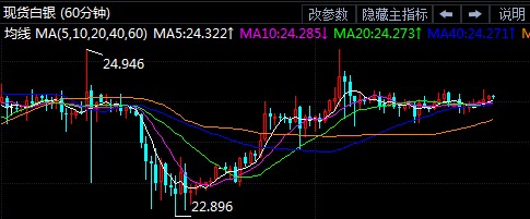 黃金布蘭提能長多大(黃金布蘭提好養嗎)