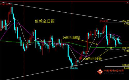 黃金大米案(黃金大米案侵權責任法)