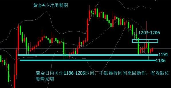 黃金大胡子可當清道夫(黃金胡子能當清道夫養嗎)