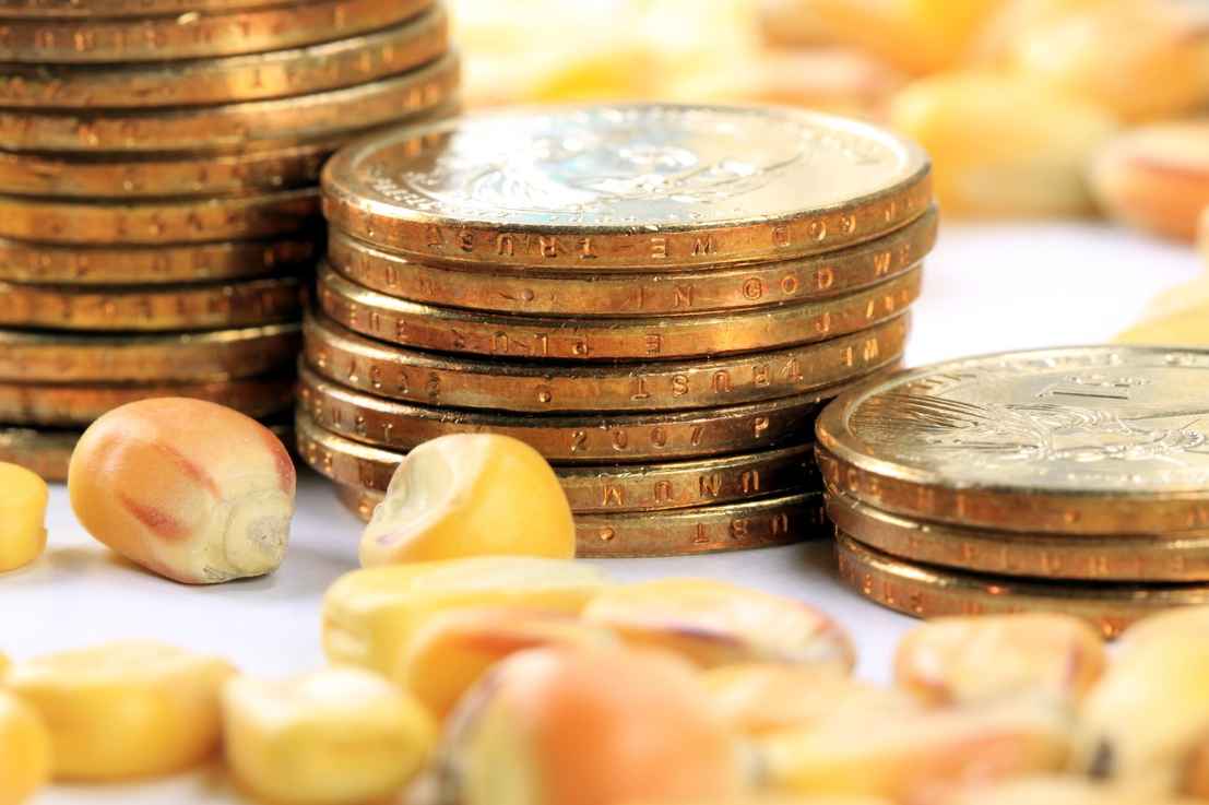 黃金創業園沈科(長沙黃金創業園沈科)