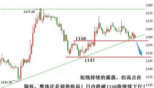 黃金公主號(黃金公主號游輪)