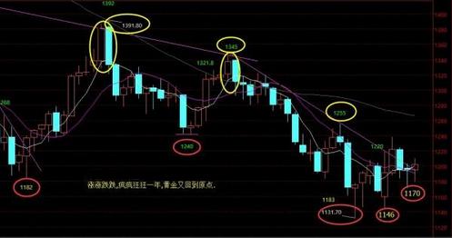 身經百戰黃金甲(生經百戰黃金甲)