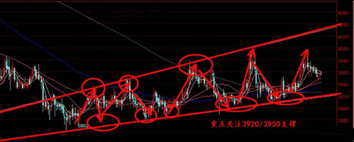 購買優酷黃金會員(購買優酷黃金會員有優惠嗎)