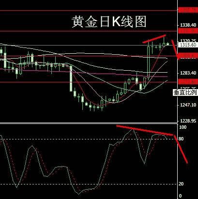 羅麥黃金人生的價格(羅麥黃金人生價格一盒是多少錢)