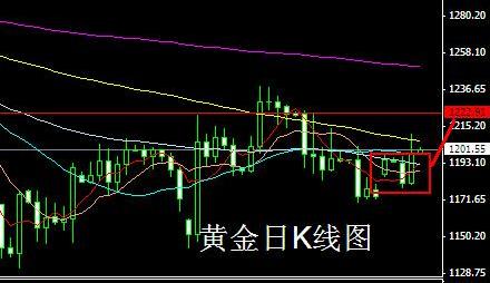 玫瑰金黃金白金哪個貴(玫瑰金鉑金黃金哪個貴)