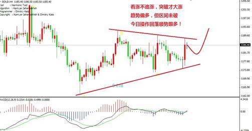 彩虹六號黃金版(彩虹六號黃金版有什么)