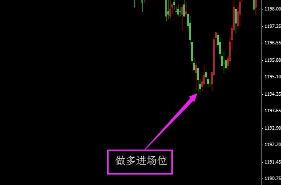 大黃金鸚鵡(大黃金鸚鵡可以養嗎)