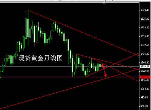 rec黃金樹(rec黃金樹在中國合法嗎)
