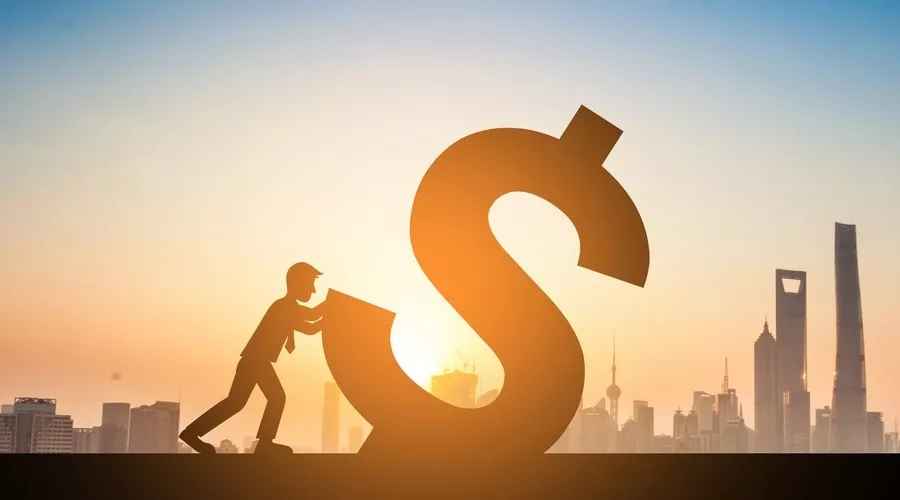 3米黃金蟒價格(黃金蟒多少斤)