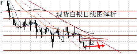 2018黃金貓(金銀貓最新進展2020)